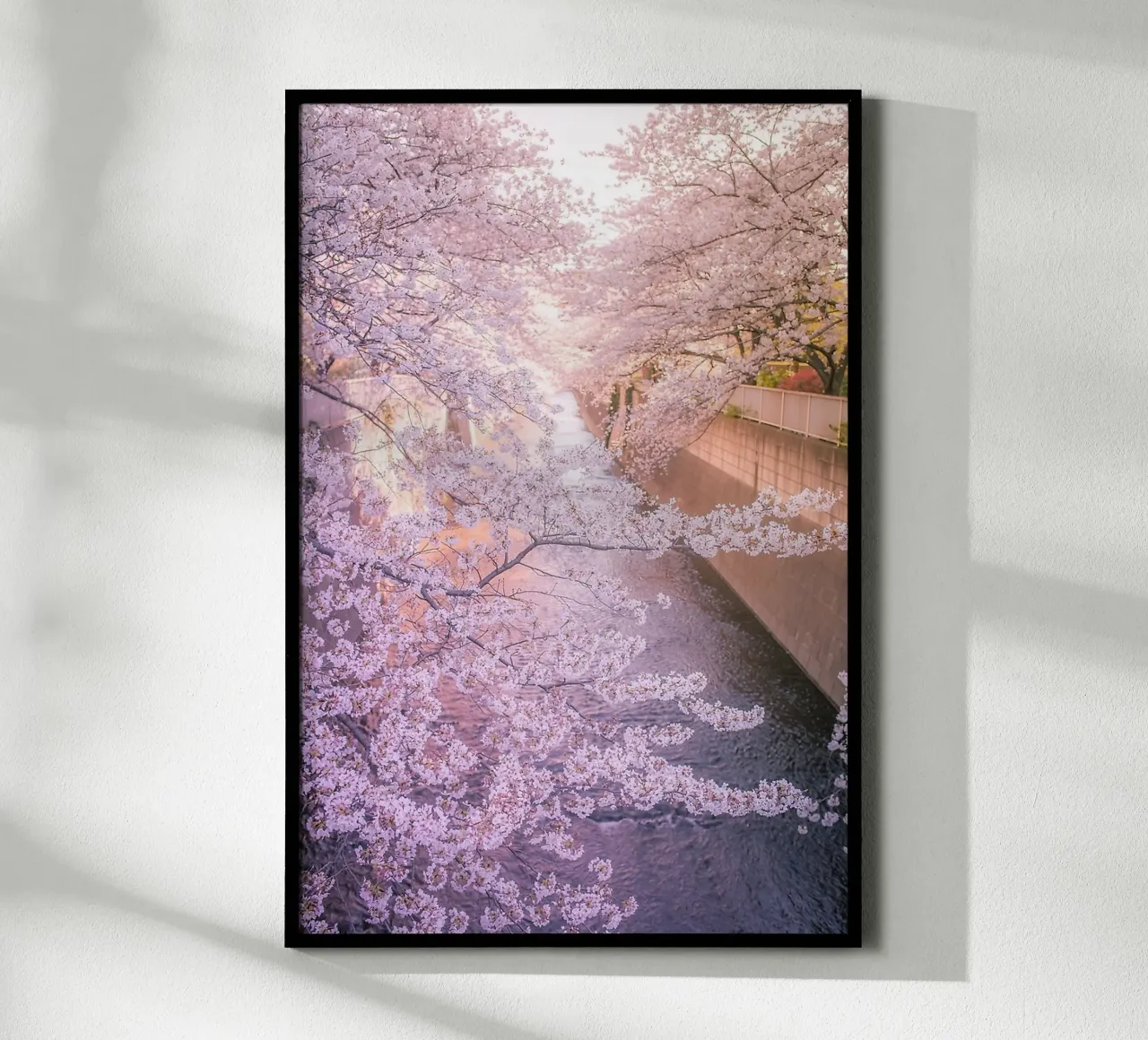 Sakura tree over Kanda Gawa river carta hahnemühle da Samuel Leonardo