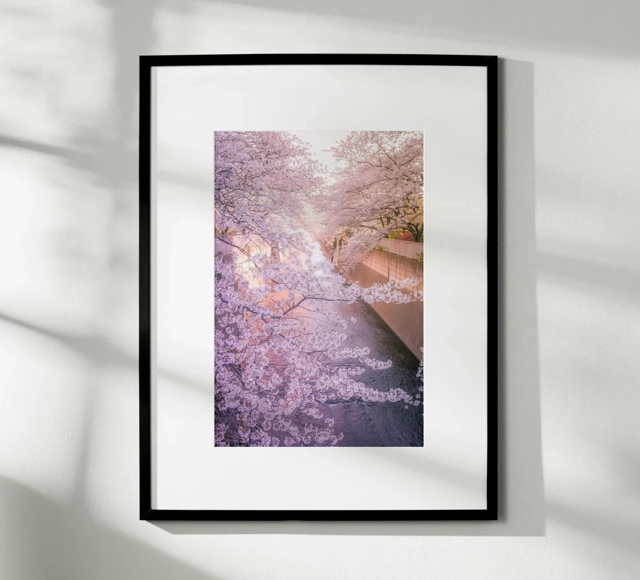 Sakura tree over Kanda Gawa river carta hahnemühle da Samuel Leonardo