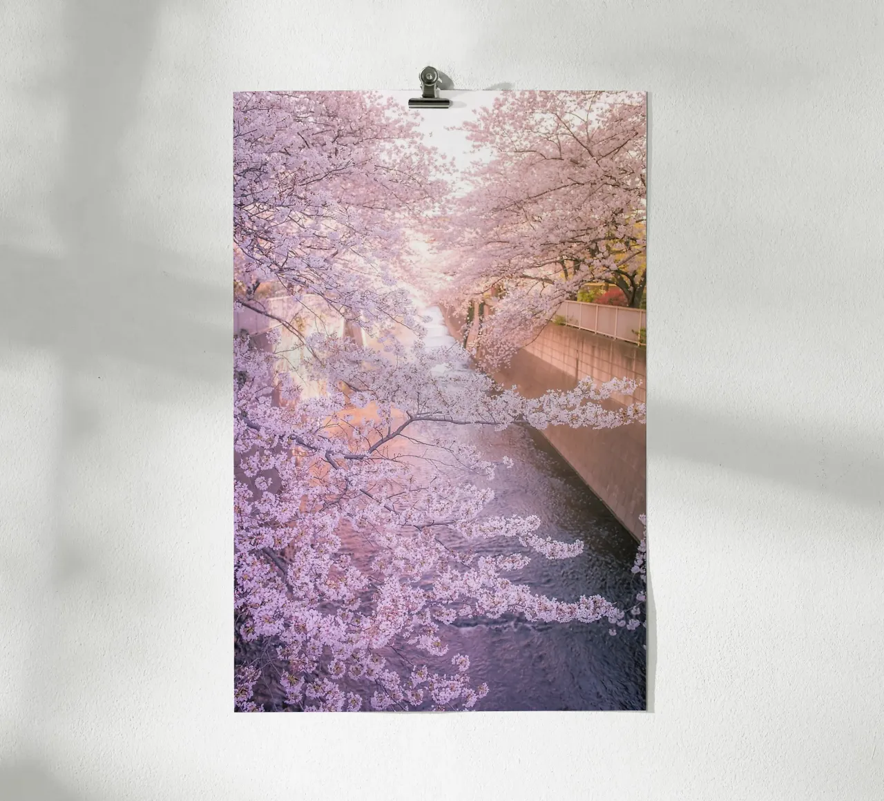 Sakura tree over Kanda Gawa river carta hahnemühle da Samuel Leonardo