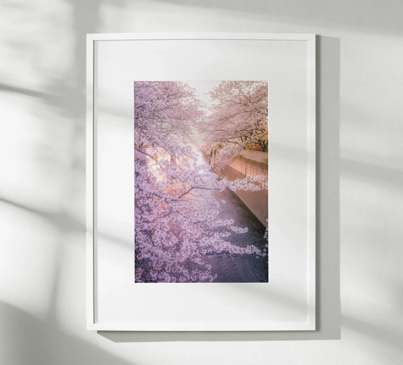 Sakura tree over Kanda Gawa river carta hahnemühle da Samuel Leonardo