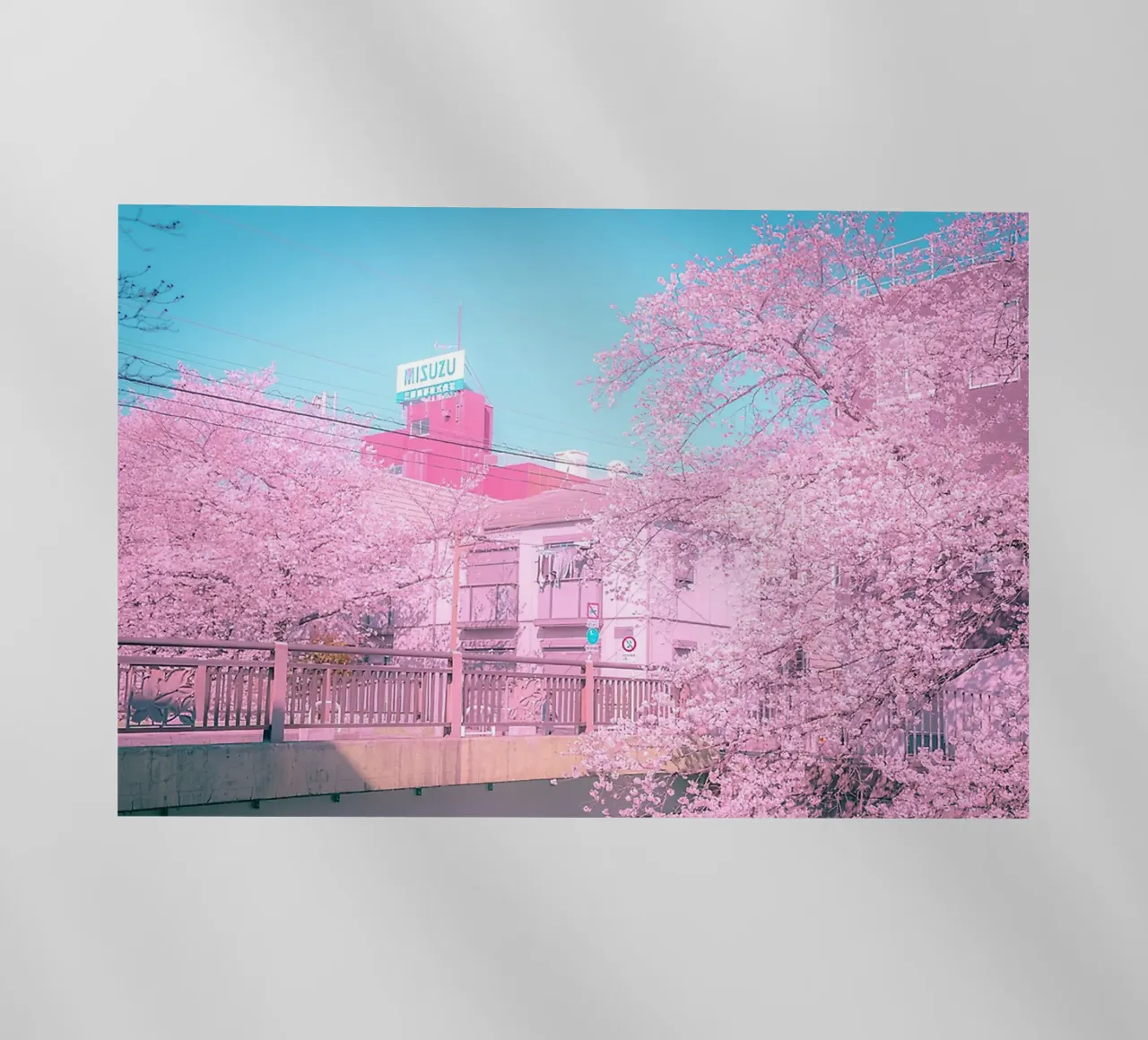 Spring in Tokyo pellicola backlit da Samuel Leonardo