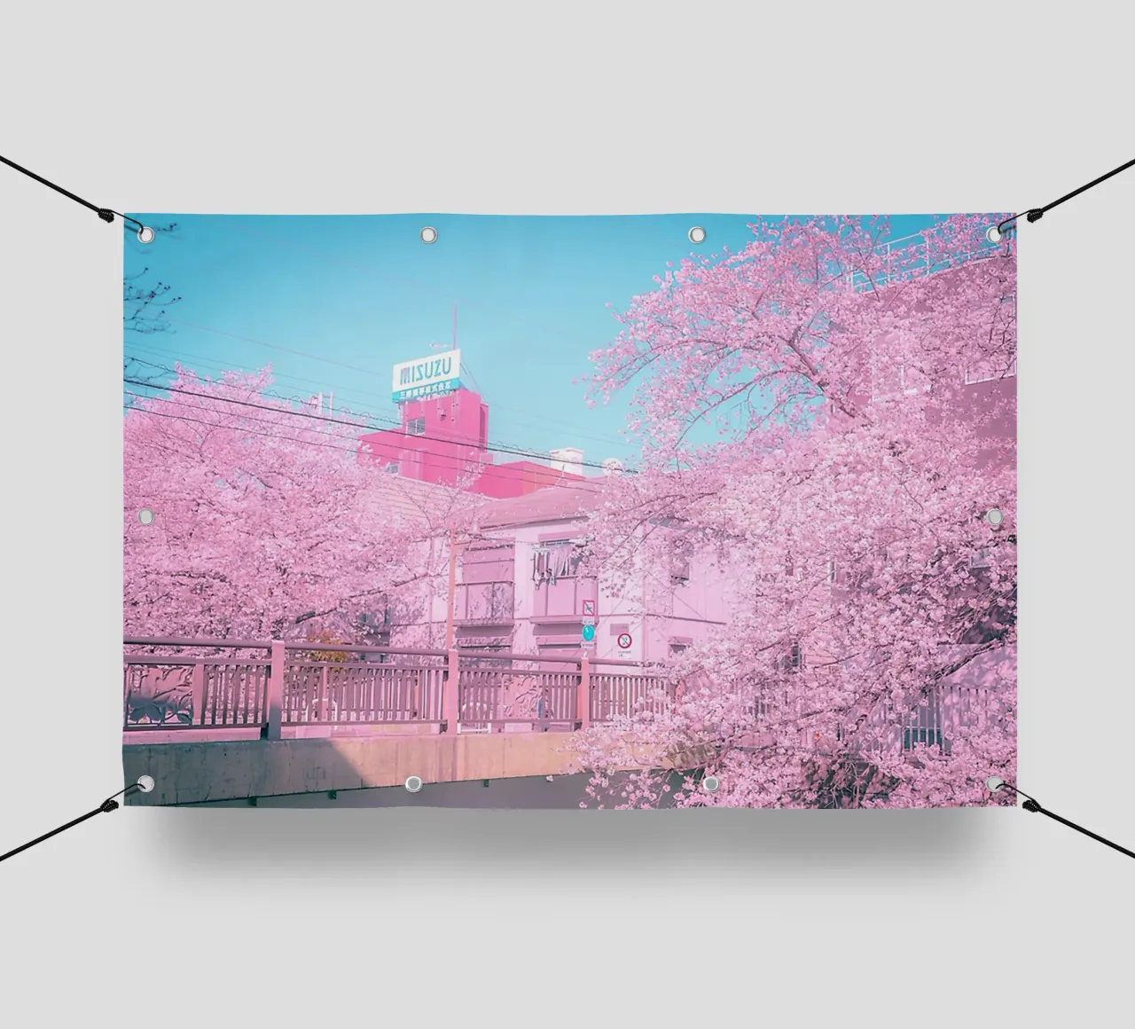 Spring in Tokyo telo in pvc da Samuel Leonardo