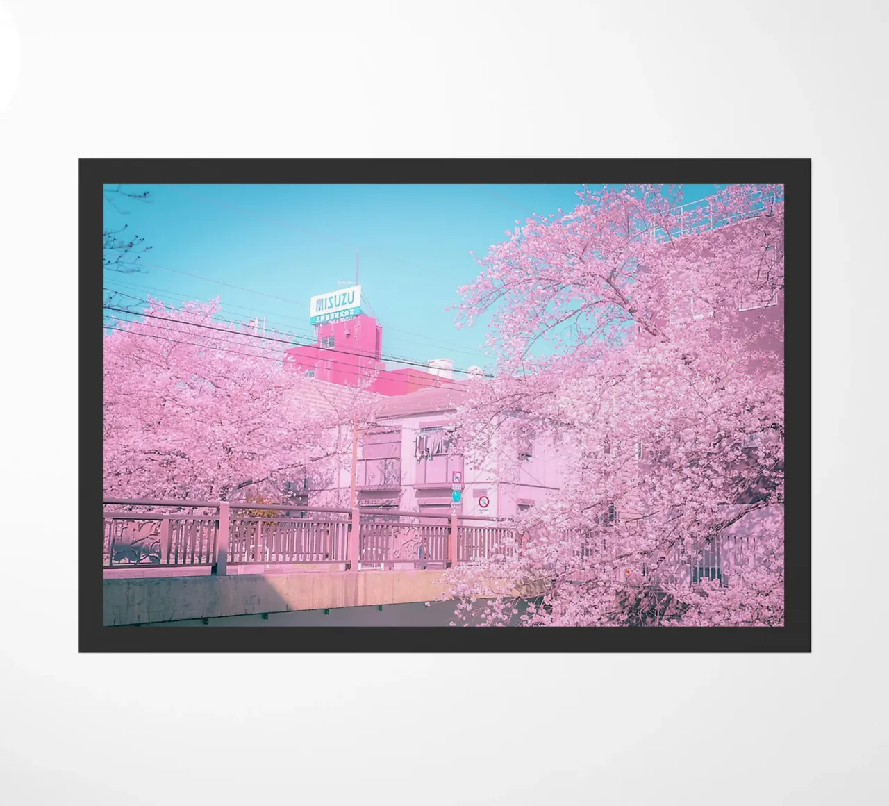 Spring in Tokyo zerbino da Samuel Leonardo