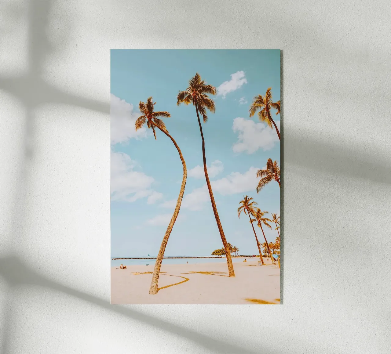 Coconut Trees plexiglass da Paige Mills