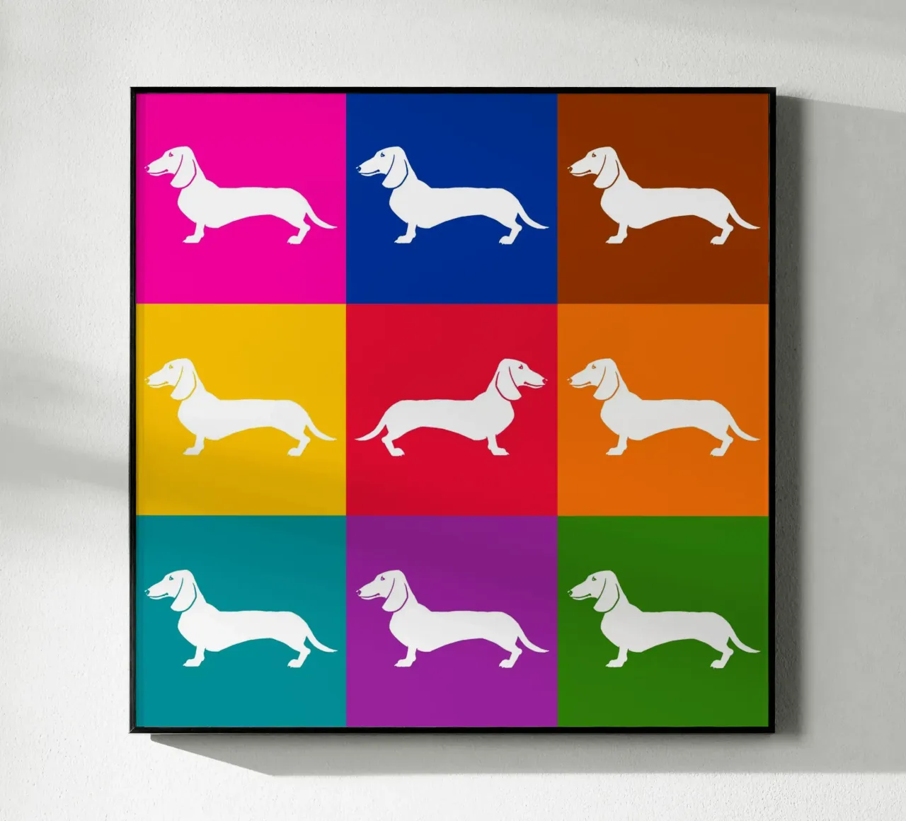 Dashing plexiglass da Pop dogs