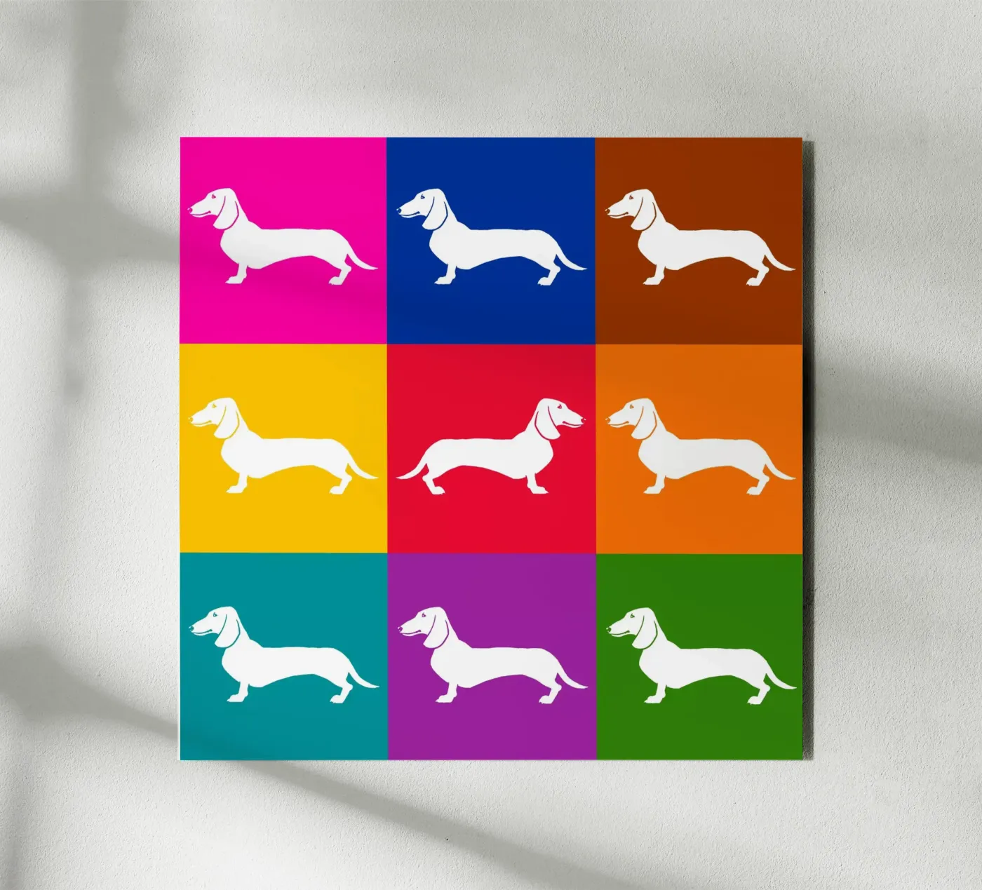 Daschung Forex-Platte von Pop dogs