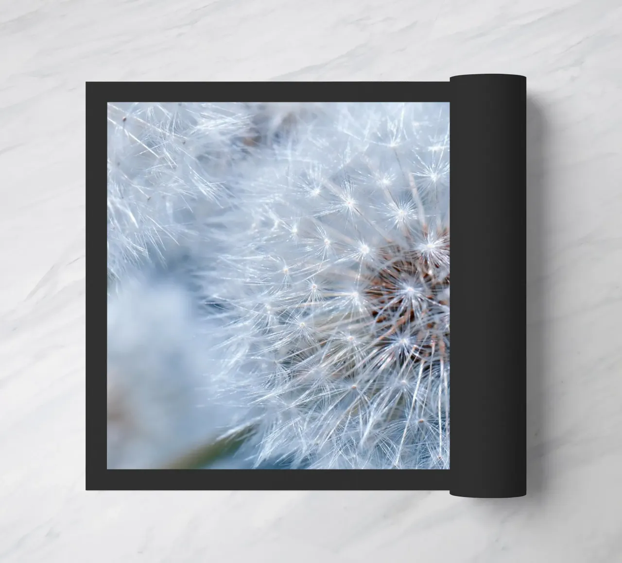 Pusteblumen zerbino da Atteloi