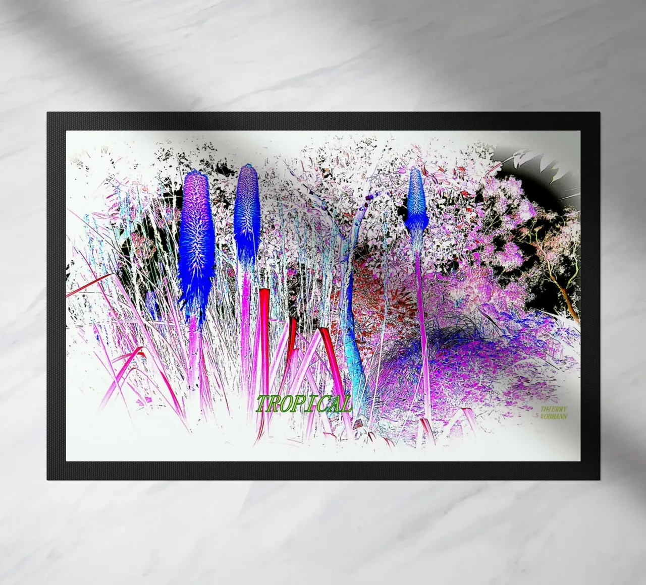 TROPICALE. zerbino da TYPOGRAPHY BY THIERRY VOBMANN