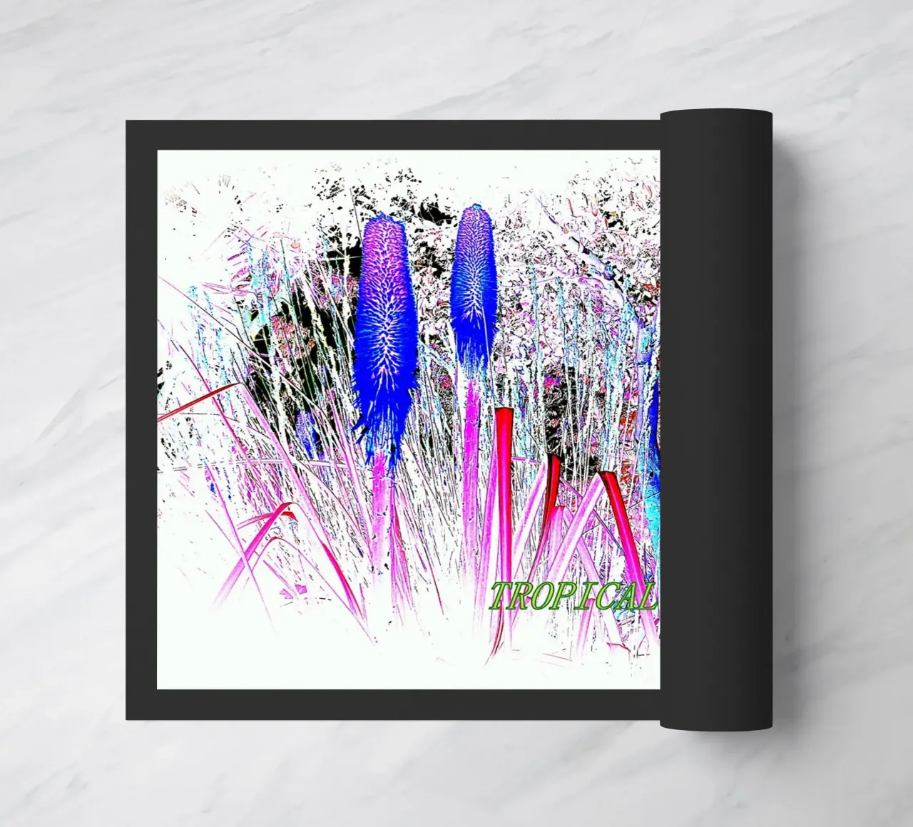 TROPICALE. zerbino da TYPOGRAPHY BY THIERRY VOBMANN