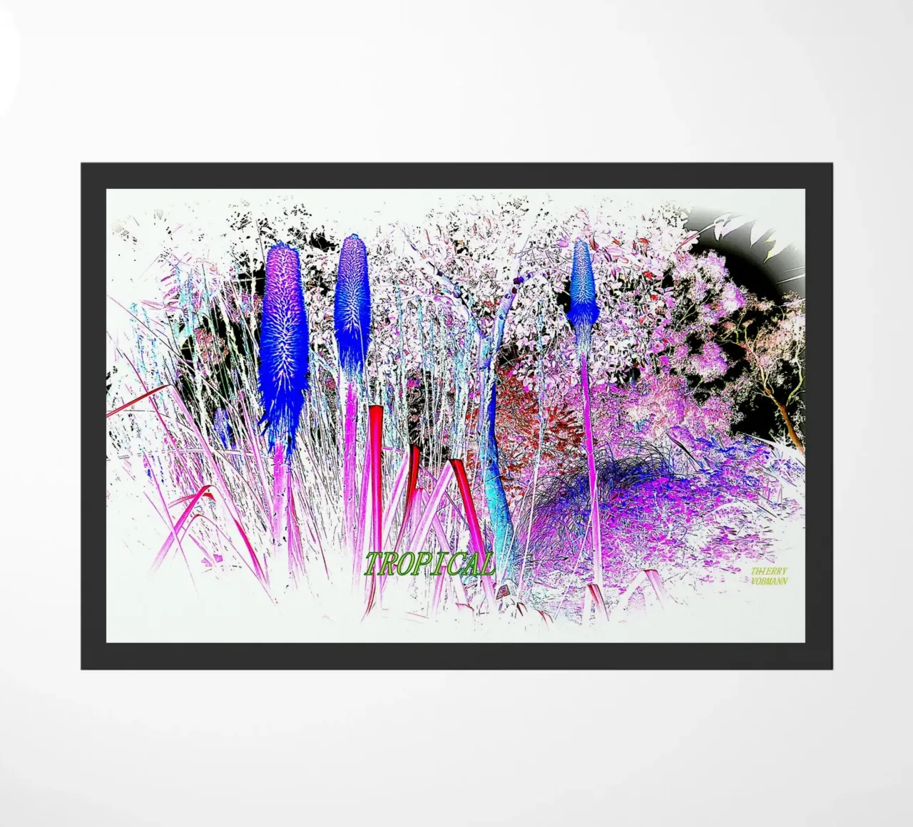 TROPICALE. zerbino da TYPOGRAPHY BY THIERRY VOBMANN