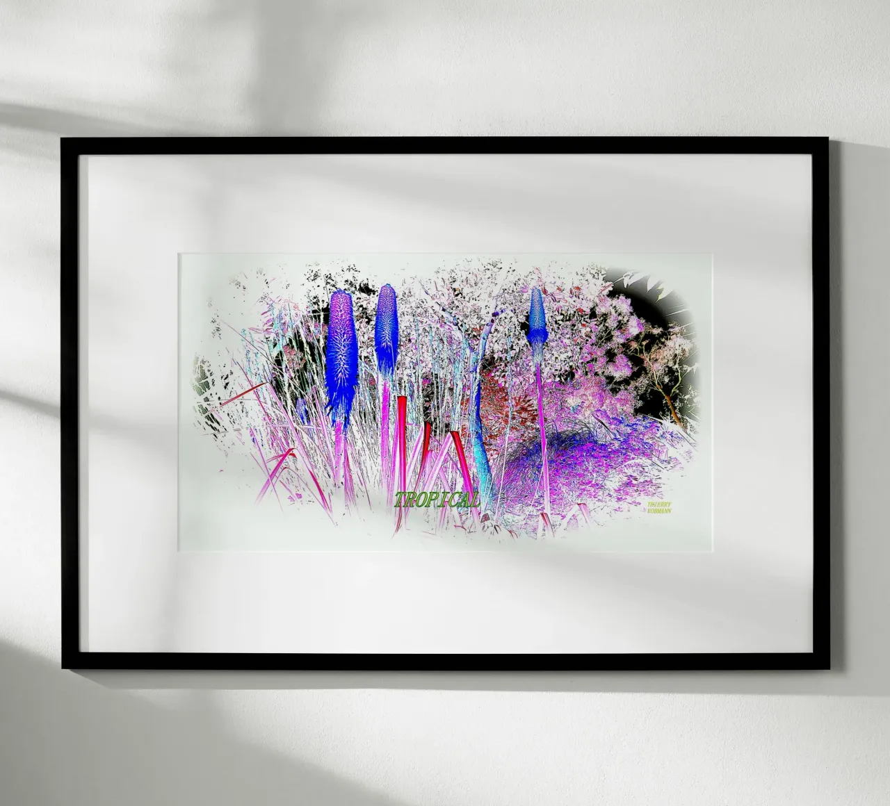 TROPICALE. poster da TYPOGRAPHY BY THIERRY VOBMANN