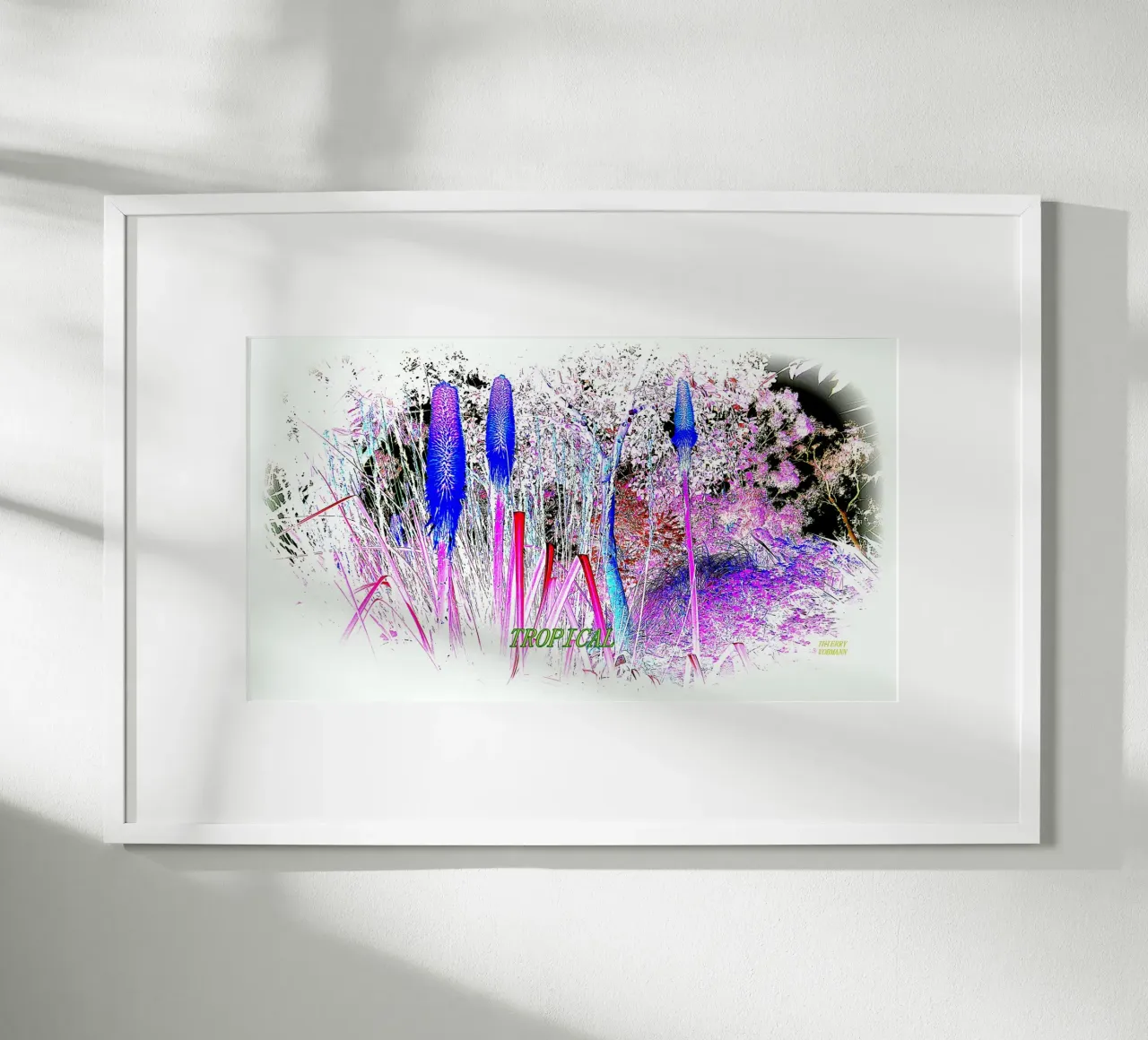 TROPICALE. poster da TYPOGRAPHY BY THIERRY VOBMANN