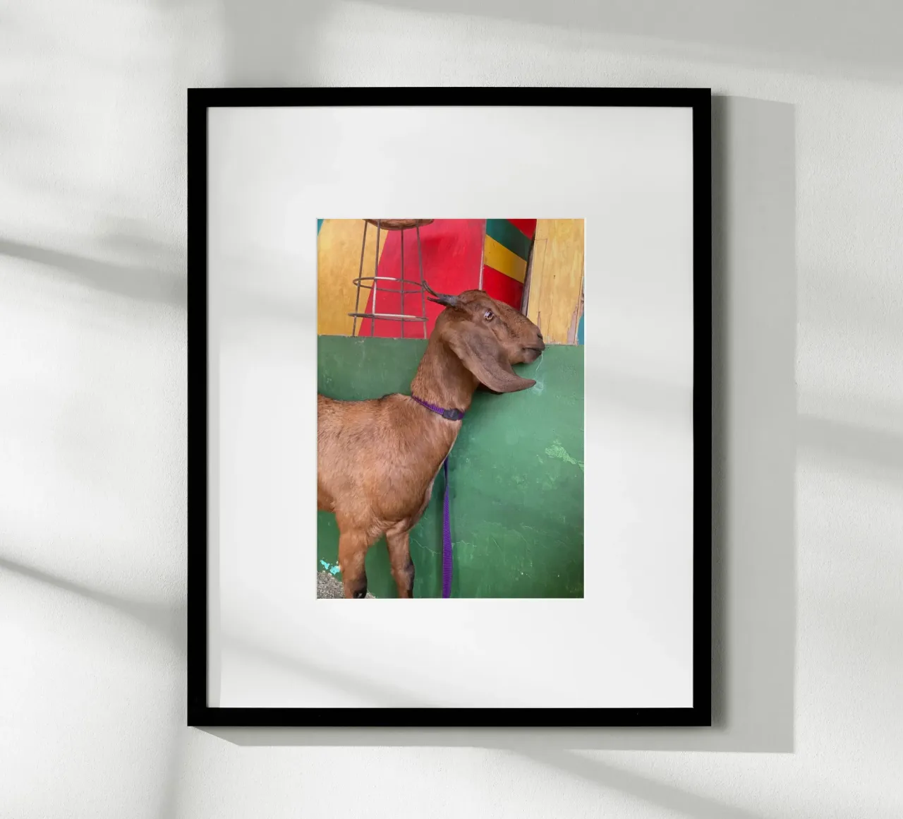 Goat poster da Tabea Jule Photography