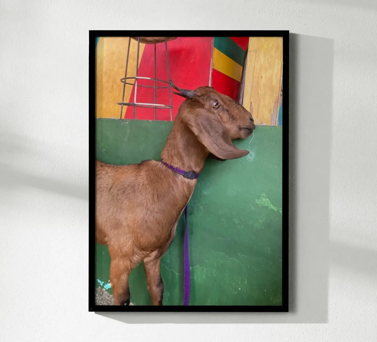 Goat poster da Tabea Jule Photography