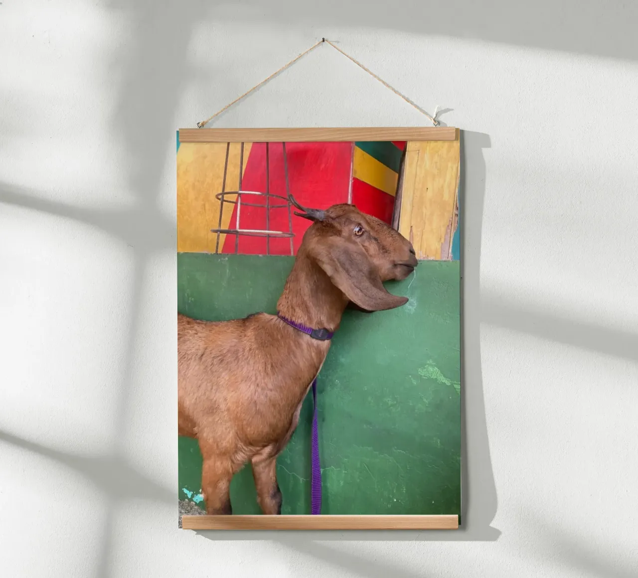 Goat poster da Tabea Jule Photography