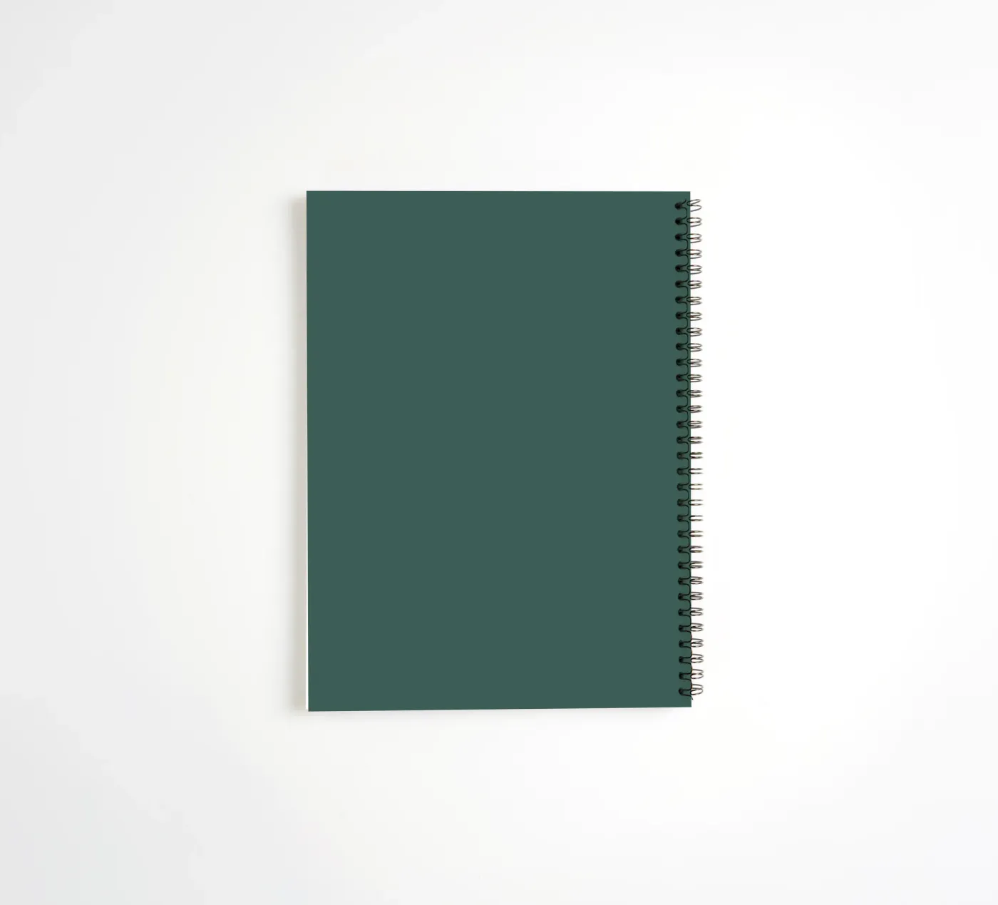 FOCUS. EXECUTE. REPEAT. Ringbuch von Simple