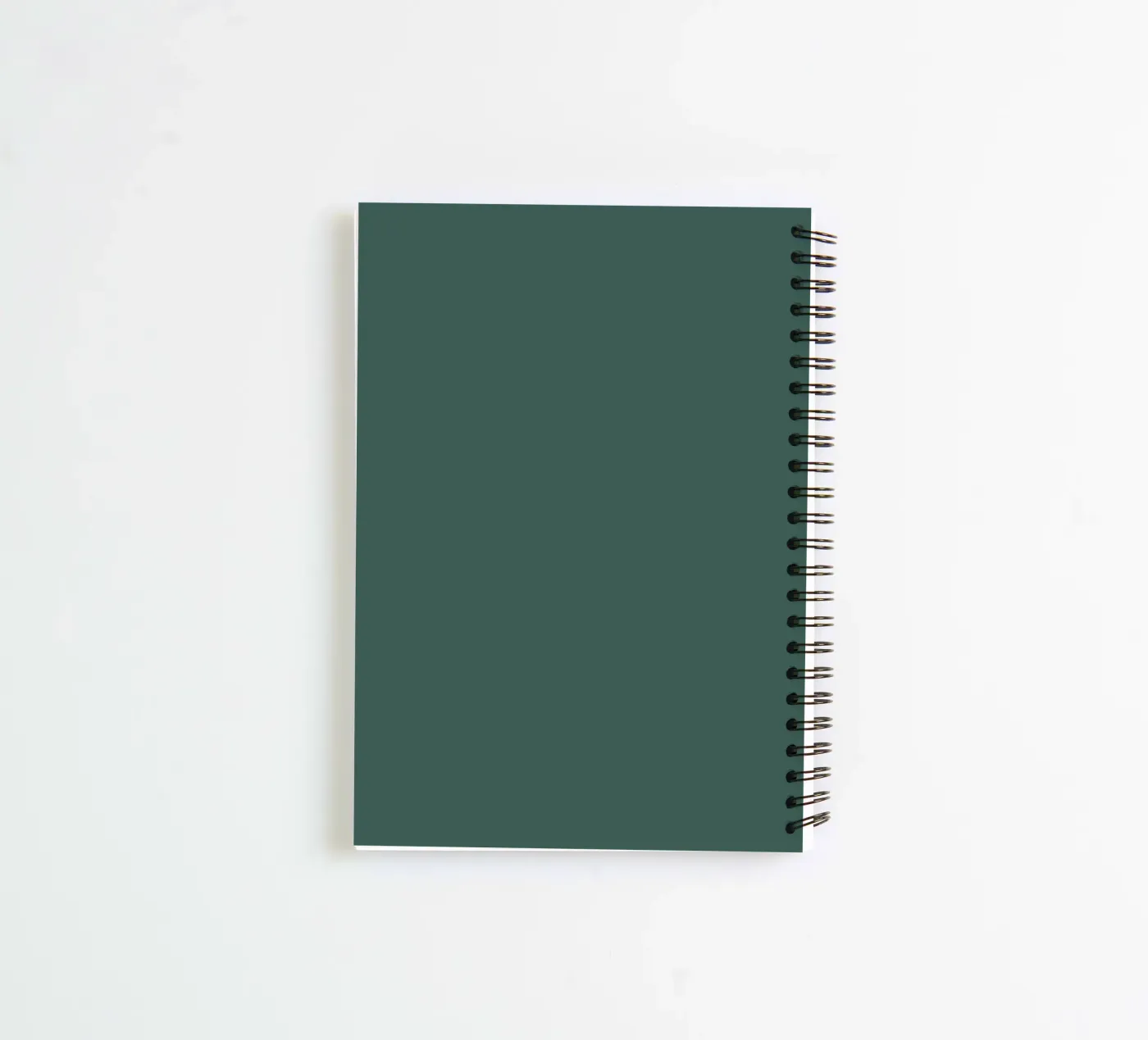 FOCUS. EXECUTE. REPEAT. Ringbuch von Simple