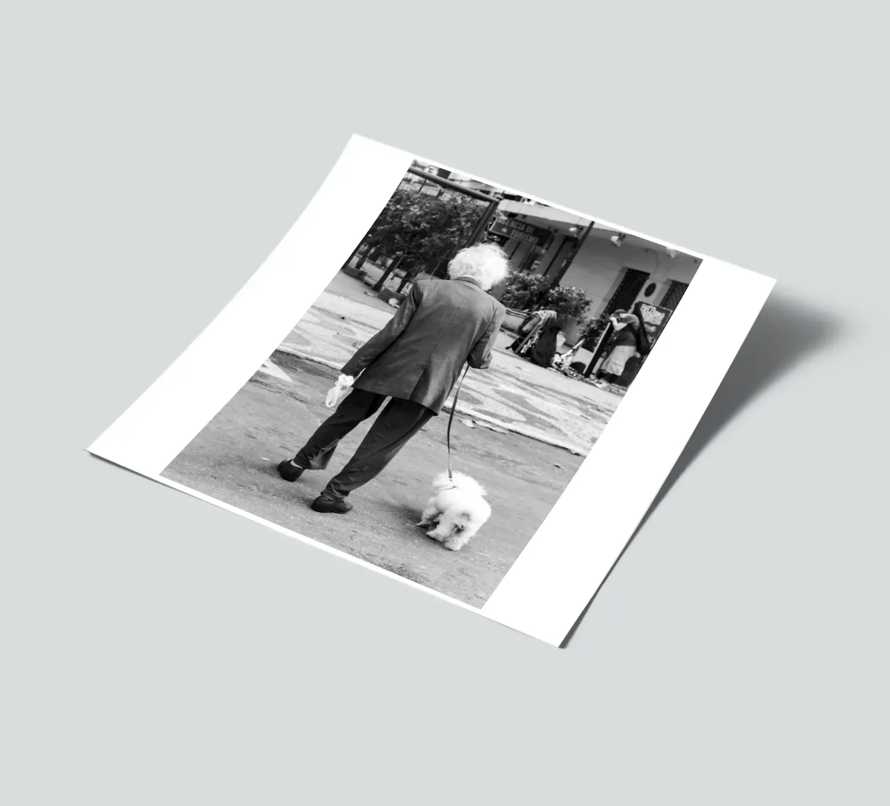 Einstein sticker sheet by rafael campezato