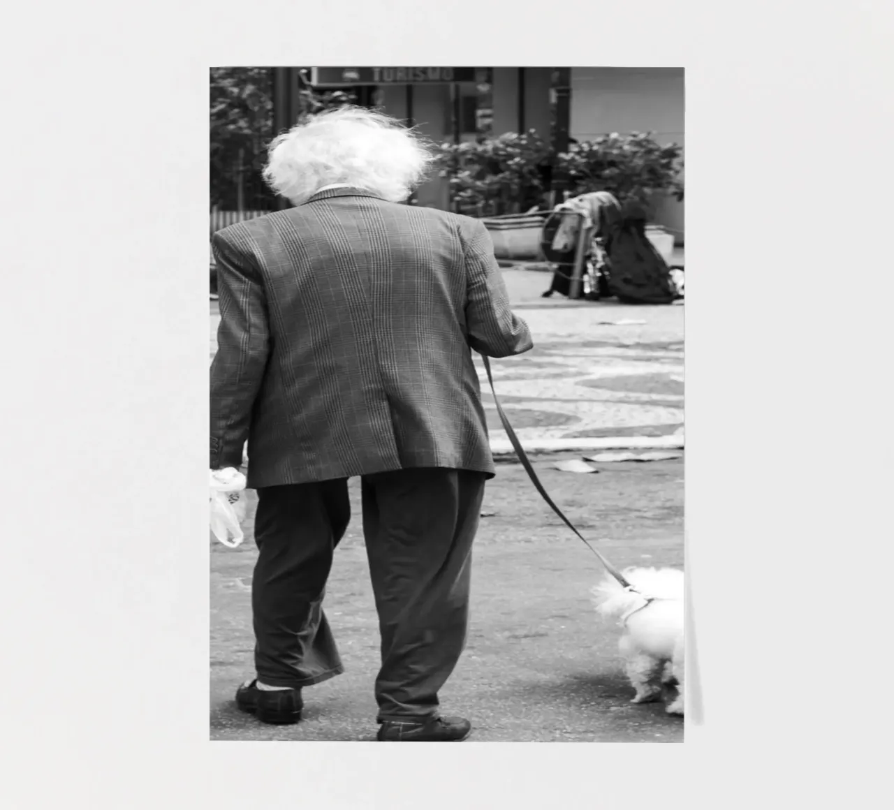 Einstein sticker sheet by rafael campezato