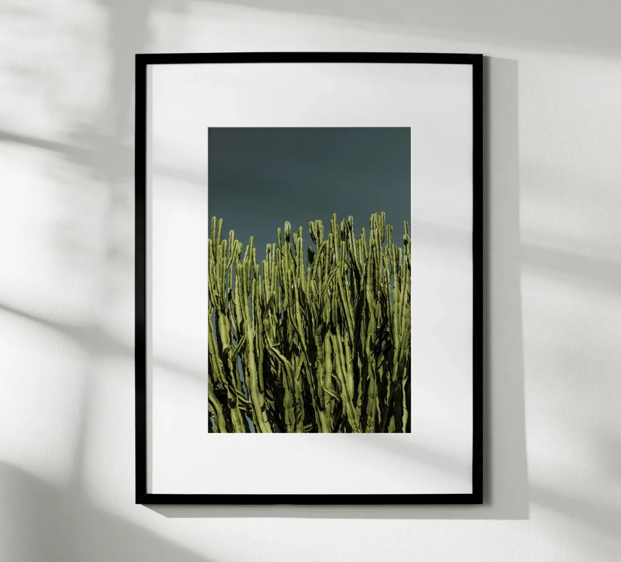 Cacti poster da Mareike Böhmer Photography