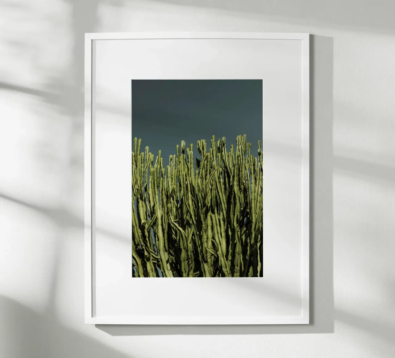 Cacti poster da Mareike Böhmer Photography