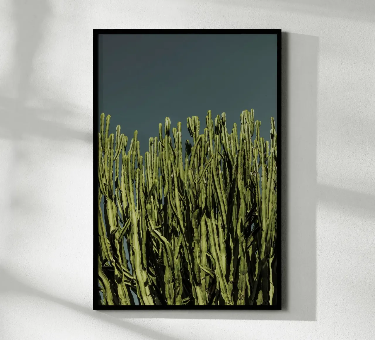 Cacti poster da Mareike Böhmer Photography