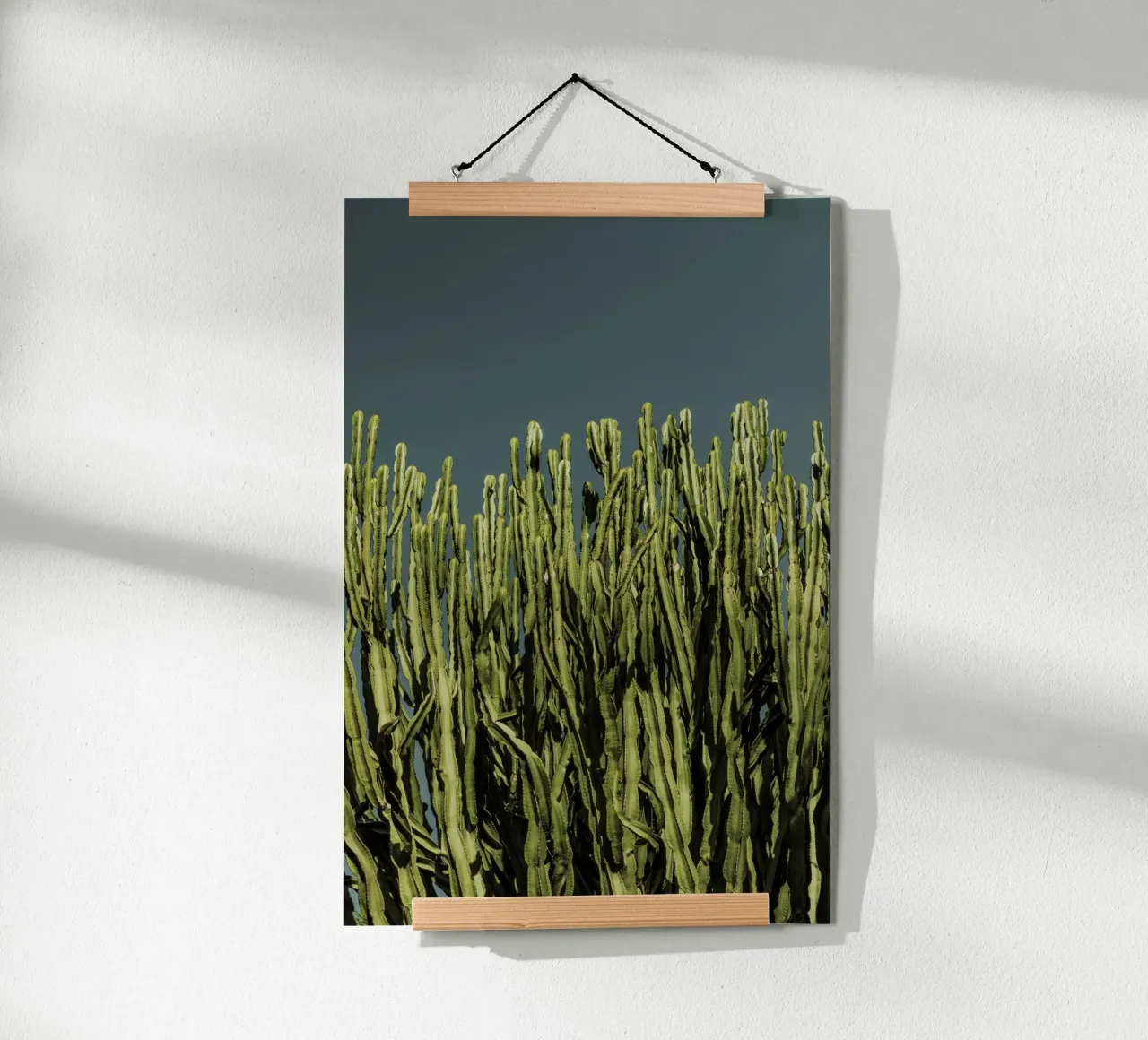 Cacti poster da Mareike Böhmer Photography