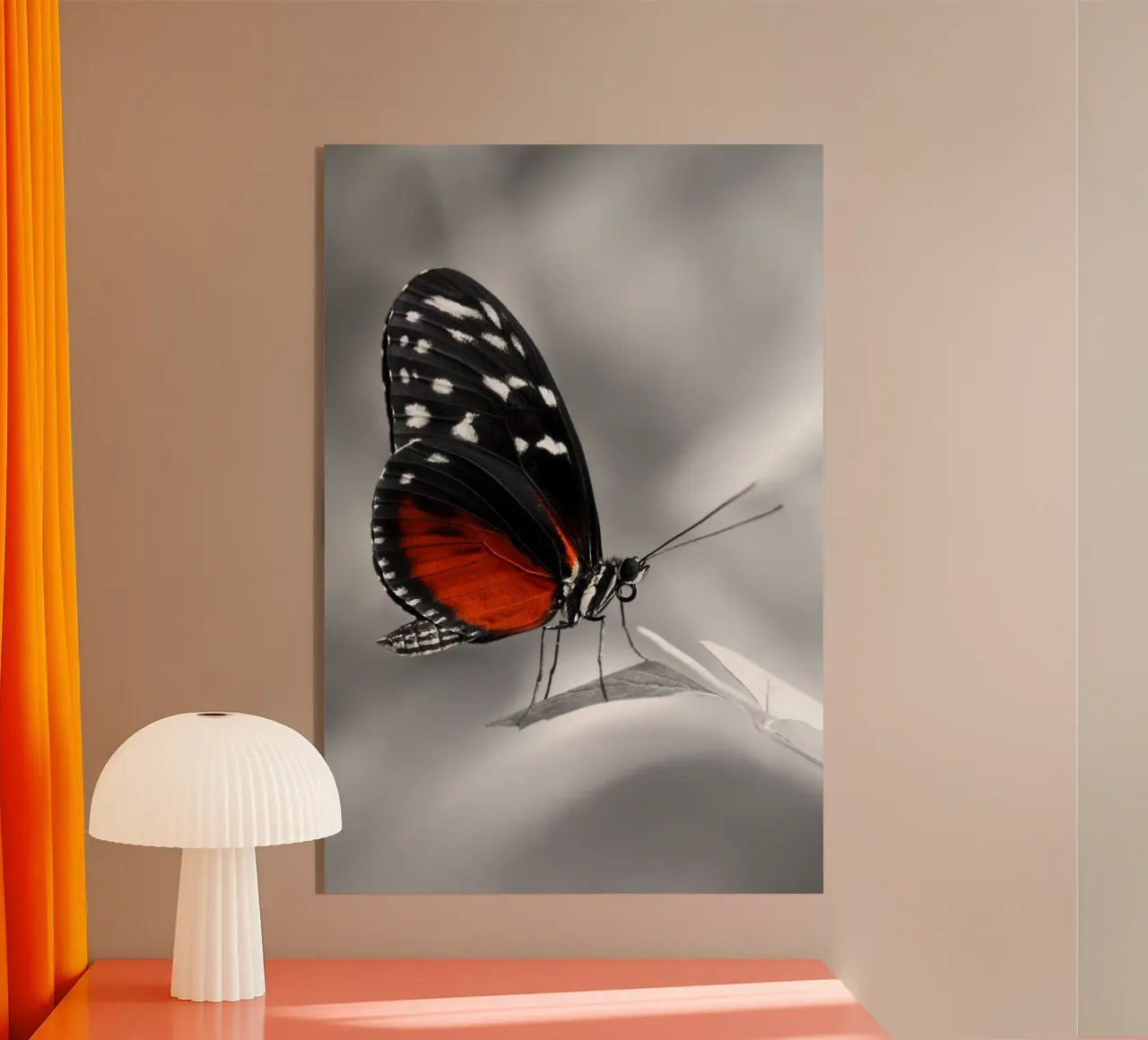 Passione farfalla plexiglass da Atteloi