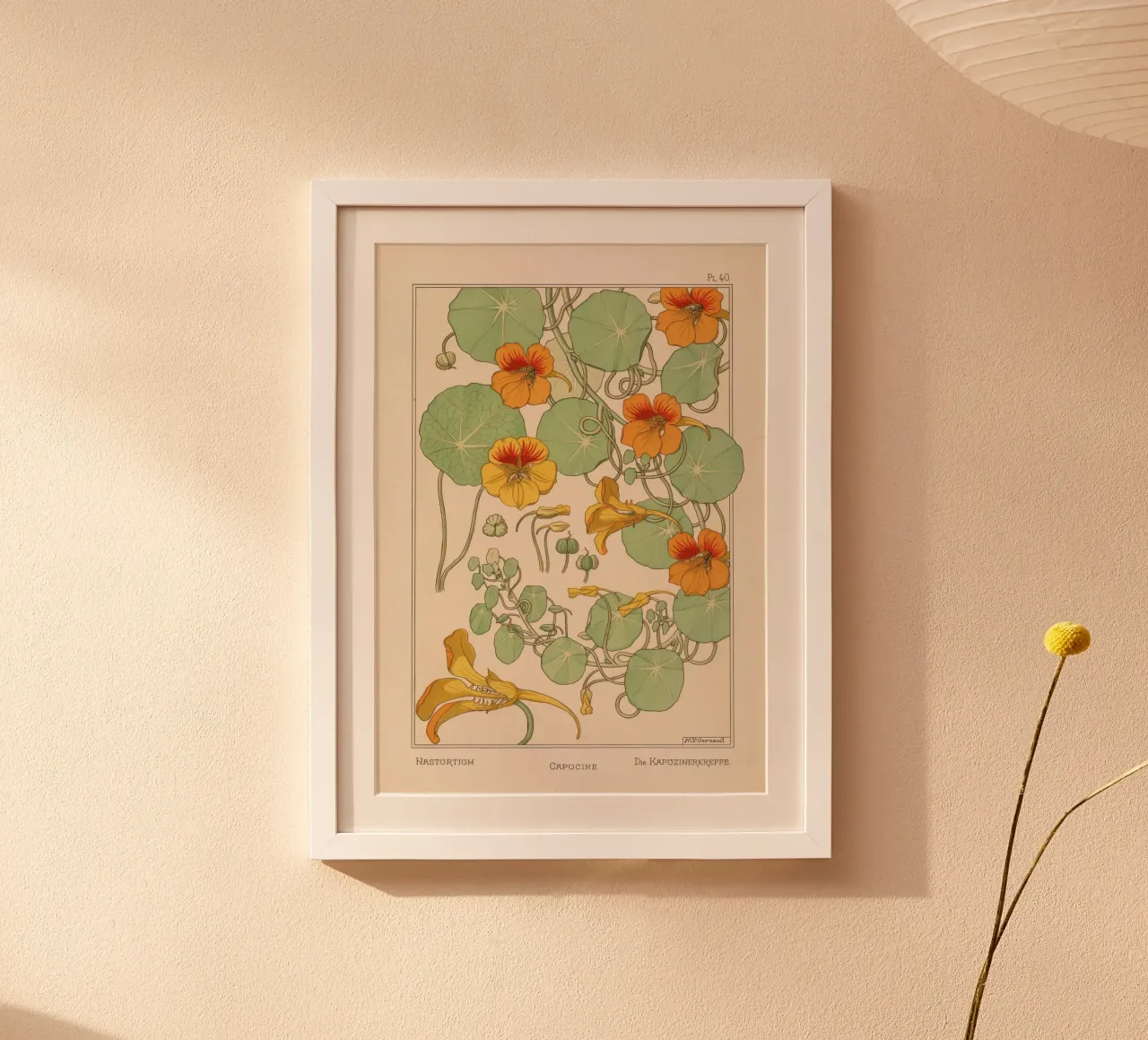 Everything's Vine poster da vintagebotanics