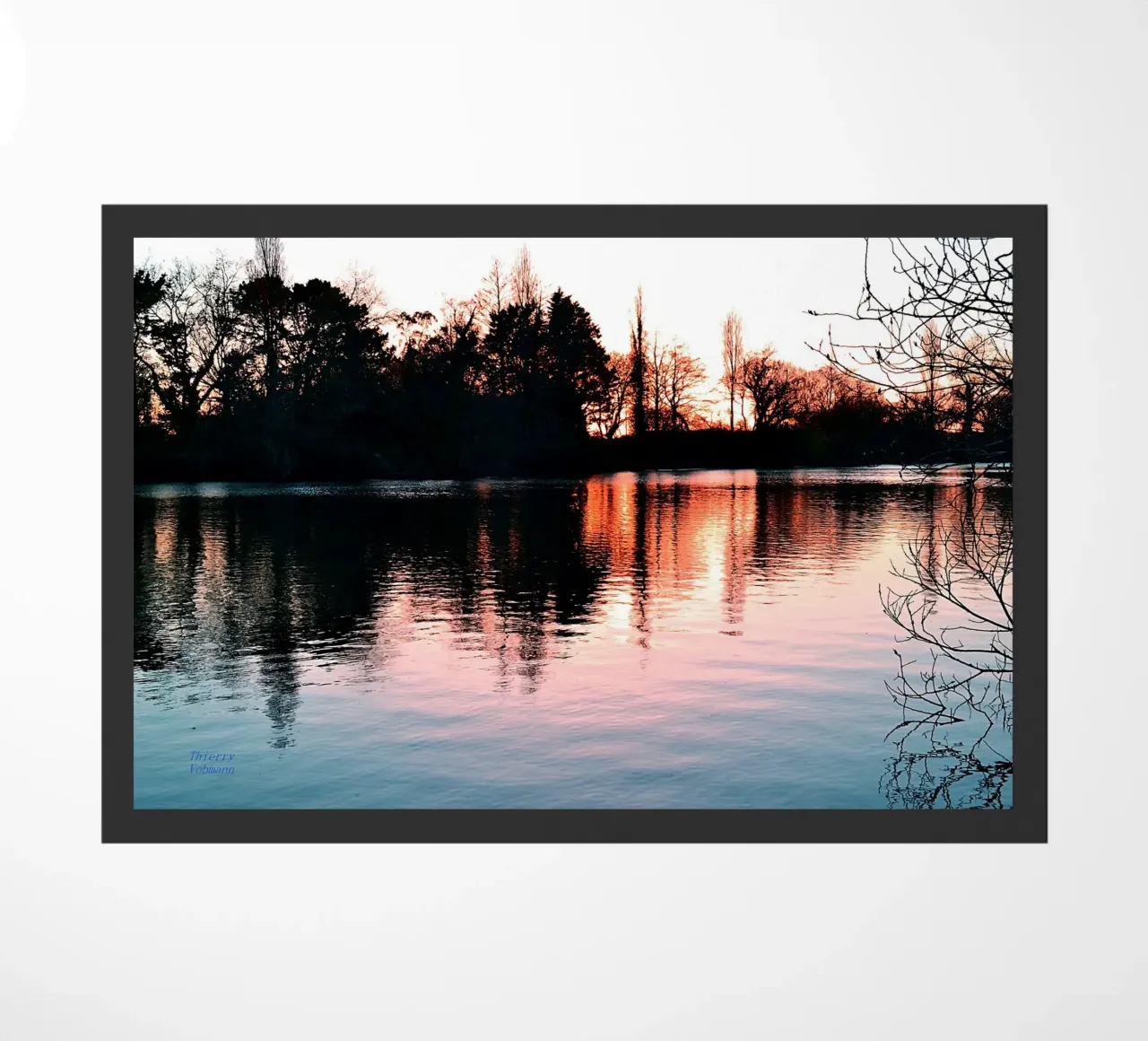 LUCE INCREDIBILE. zerbino da THIERRY VOBMANN.MY BEST PHOTOS.