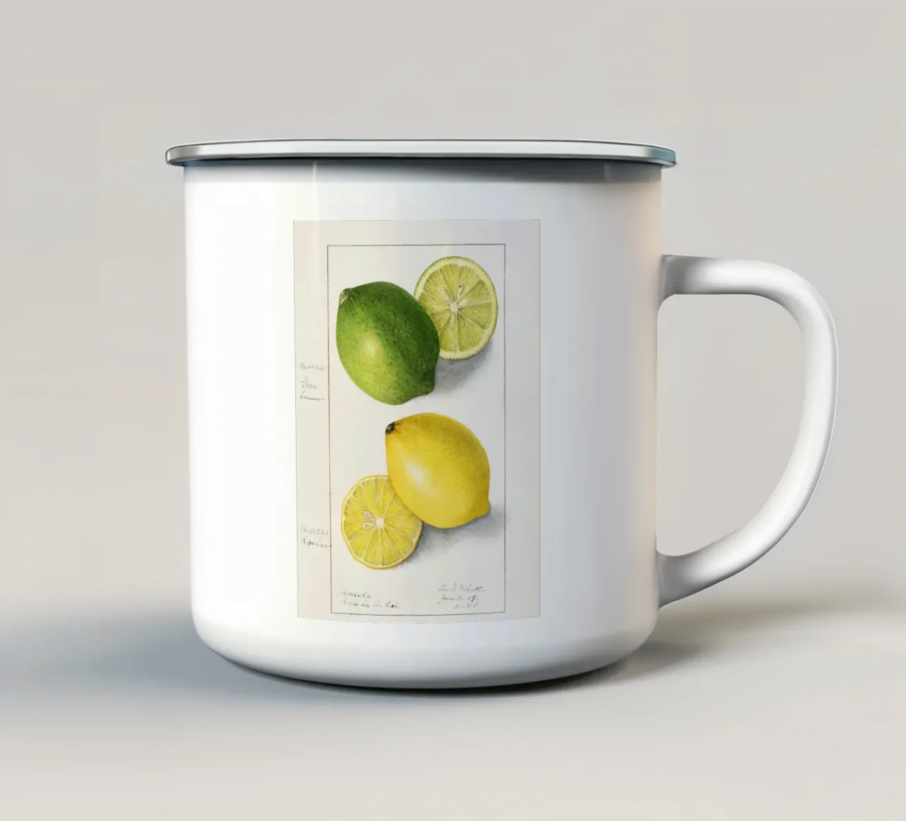 Vintage Lemon Lime Botanic Art Poster Print XL tazza in smalto da Trendy Vibes