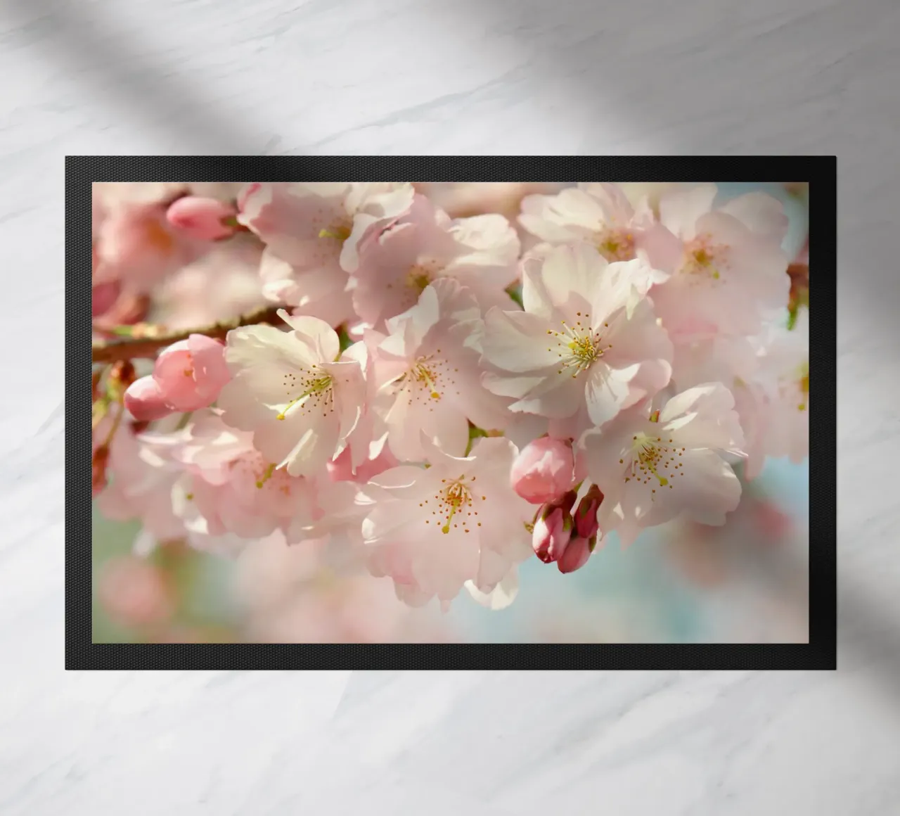 Fiori di ciliegio, Sakura zerbino da Atteloi