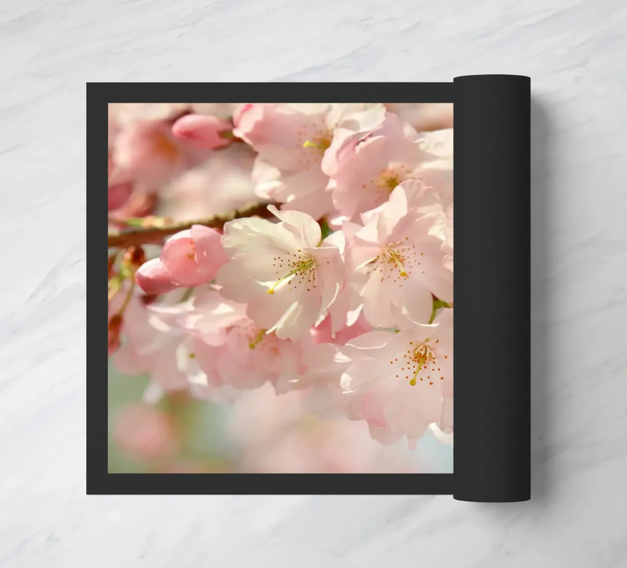 Fiori di ciliegio, Sakura zerbino da Atteloi