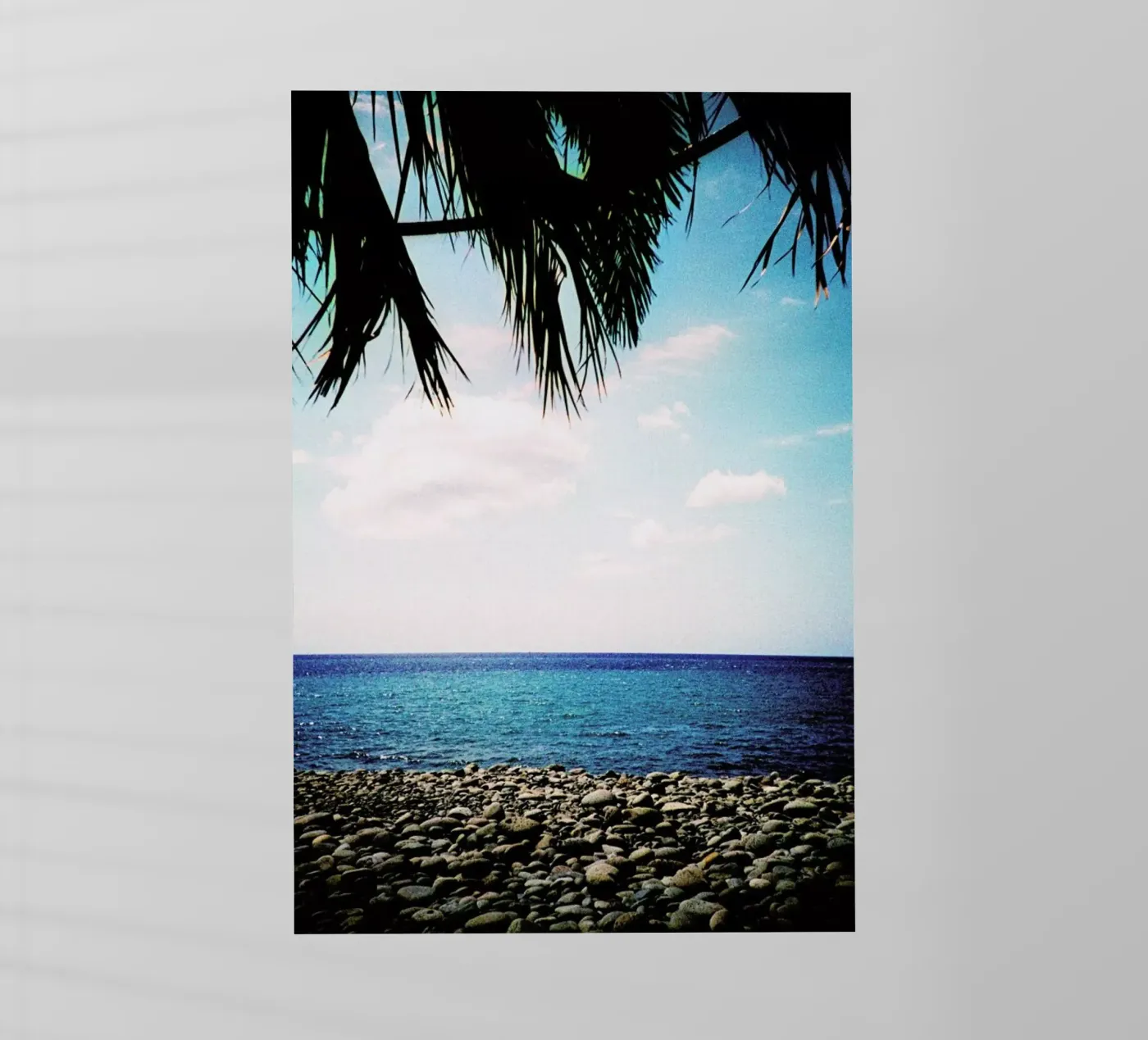 Canopy pellicola backlit da BLAEK Design Studio