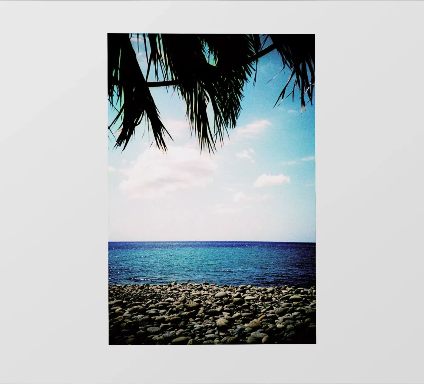 Canopy telo in pvc da BLAEK Design Studio