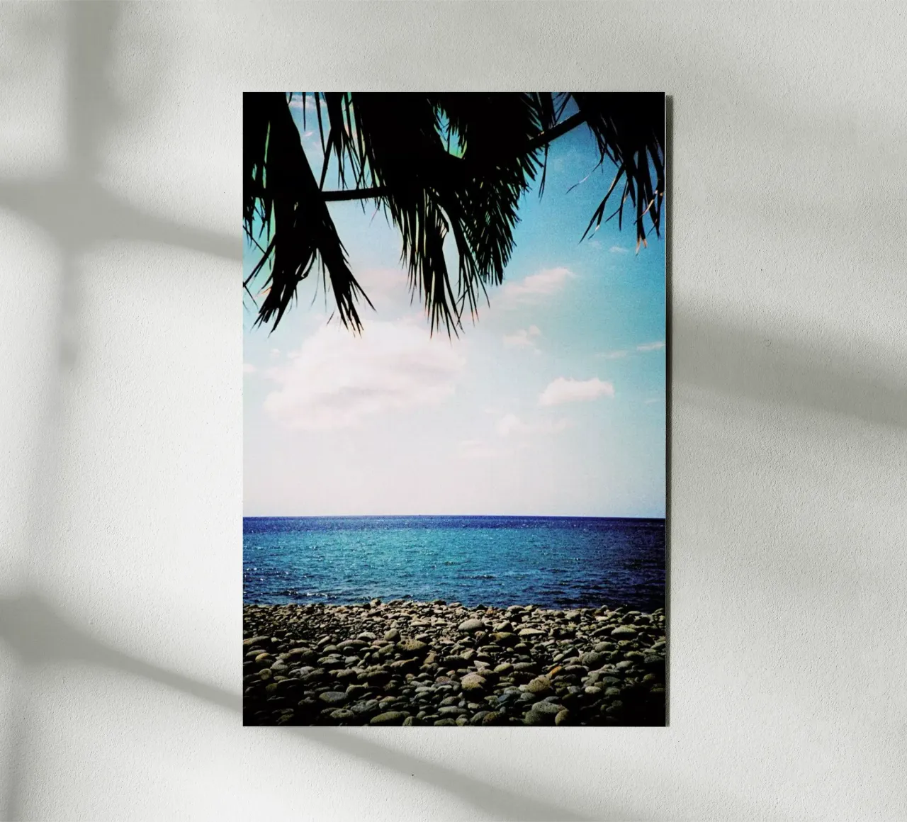 Canopy forex-plaat van BLAEK Design Studio