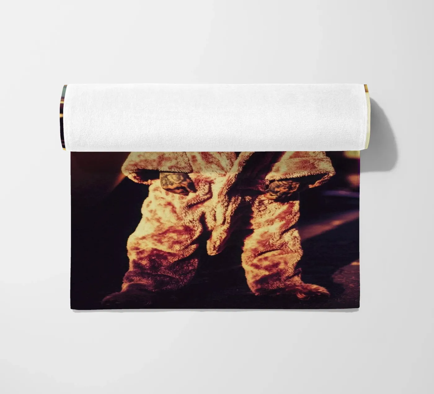 Cruz telo mare da Affiches Chien Originales – Dogland