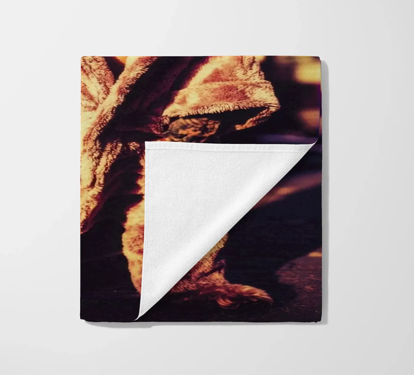 Cruz telo mare da Affiches Chien Originales – Dogland