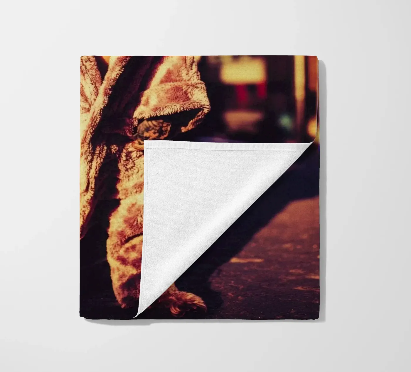 Cruz telo mare da Affiches Chien Originales – Dogland