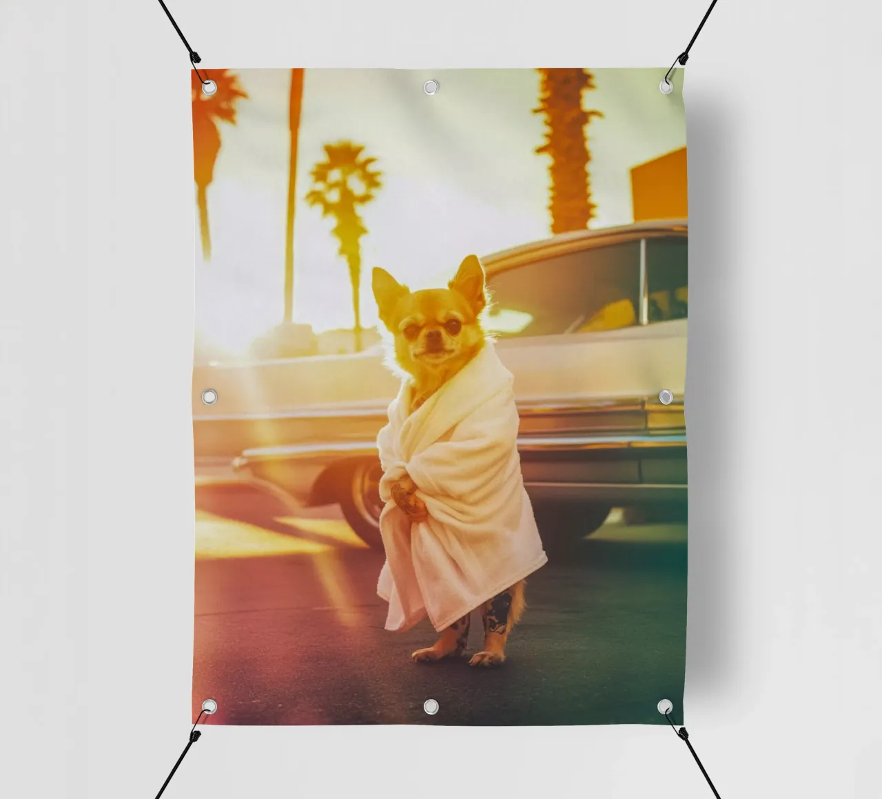 Kai telo in pvc da Affiches Chien Originales – Dogland