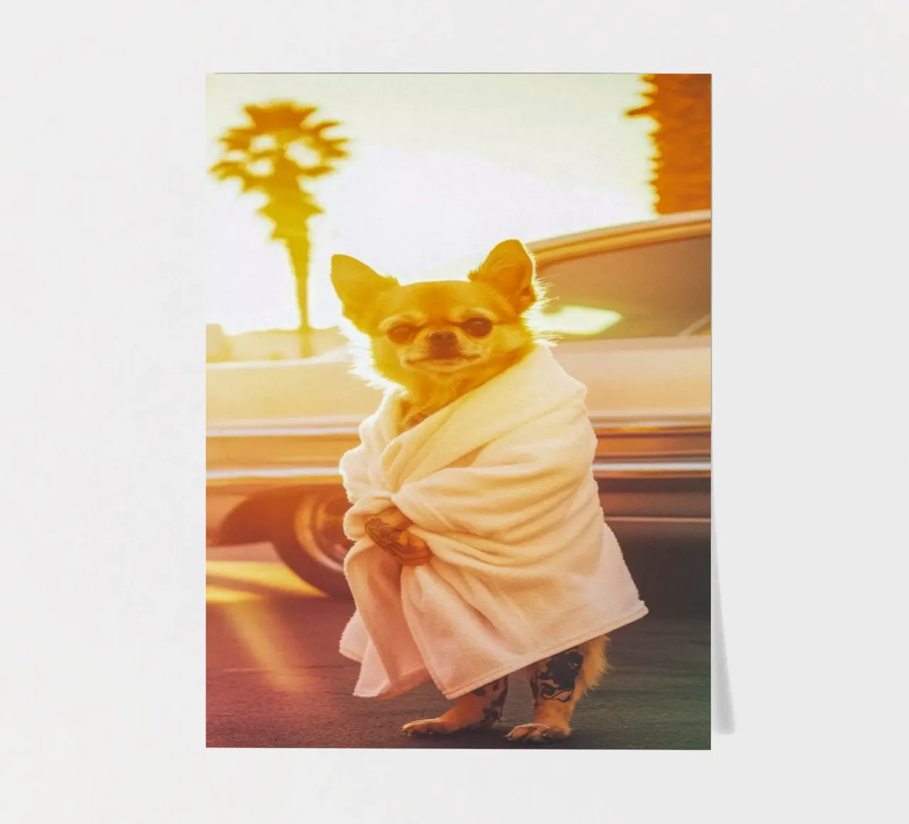 Kai sticker sheet by Affiches Chien Originales – Dogland