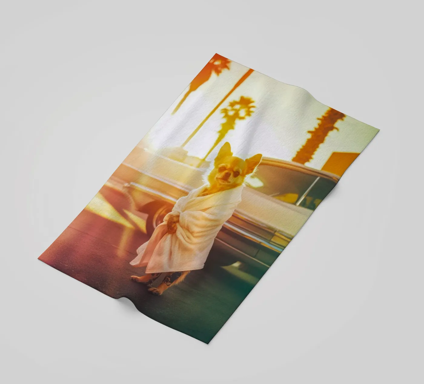 Kai strandhanddoek van Affiches Chien Originales – Dogland