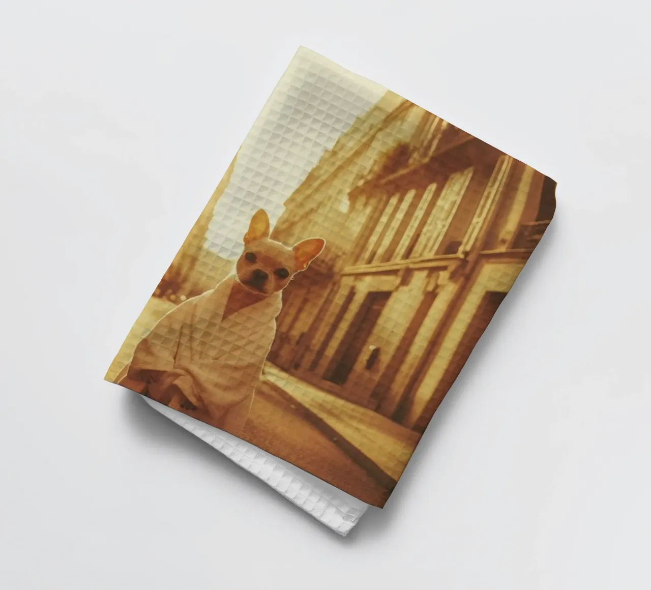 Sacha canovaccio da cucina da Affiches Chien Originales – Dogland