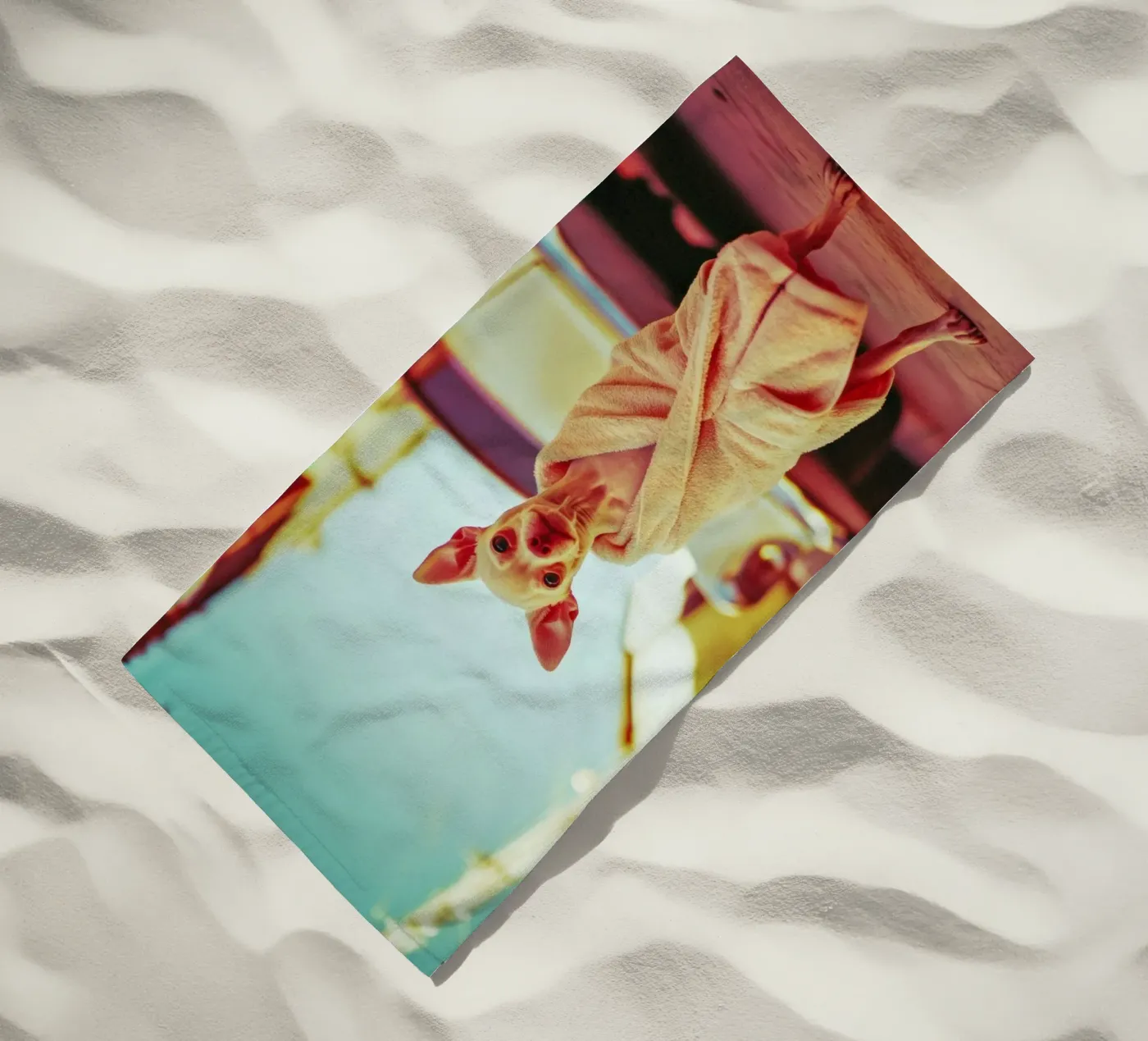 Orion telo mare da Affiches Chien Originales – Dogland