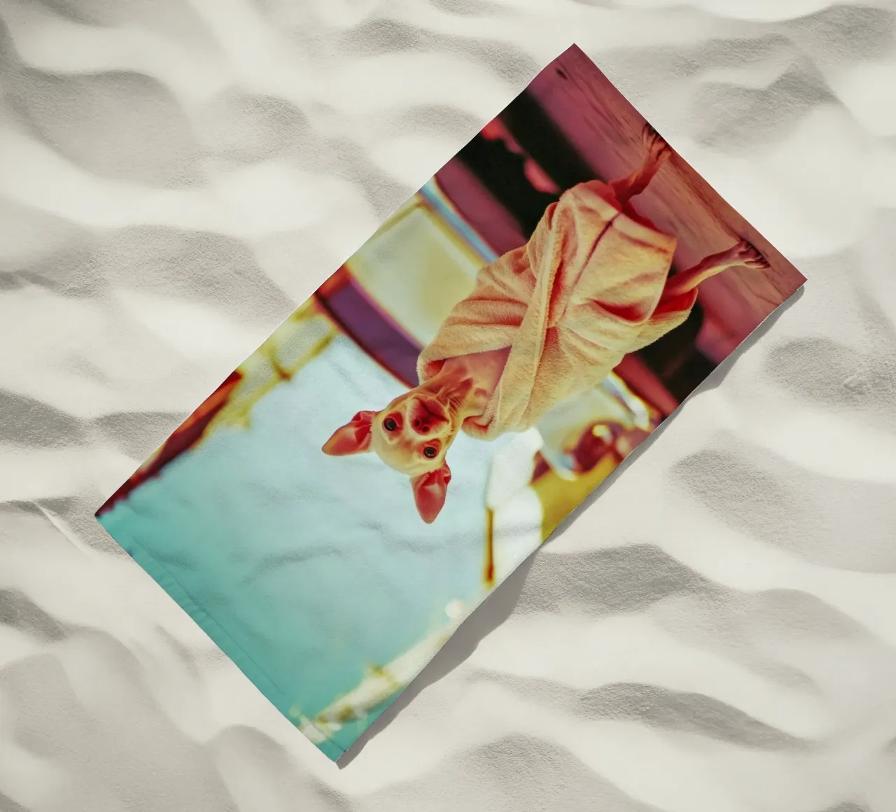 Orion telo mare da Affiches Chien Originales – Dogland