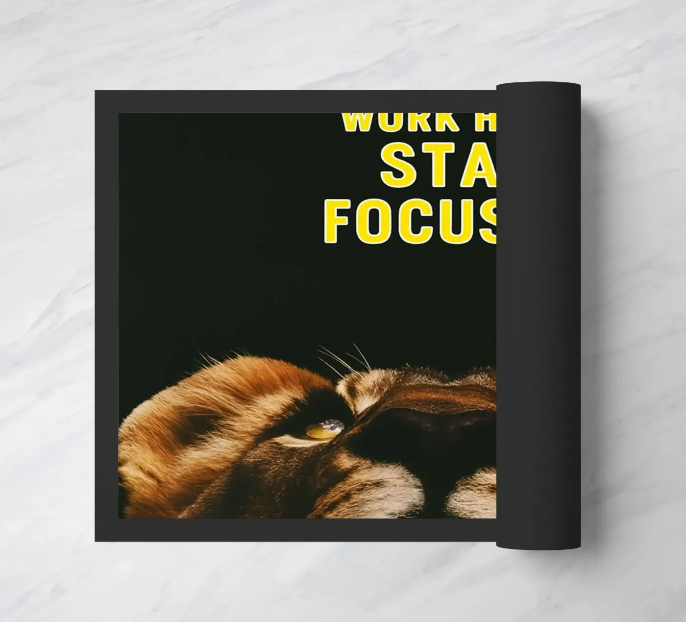 sognare in grande zerbino da rapunsell