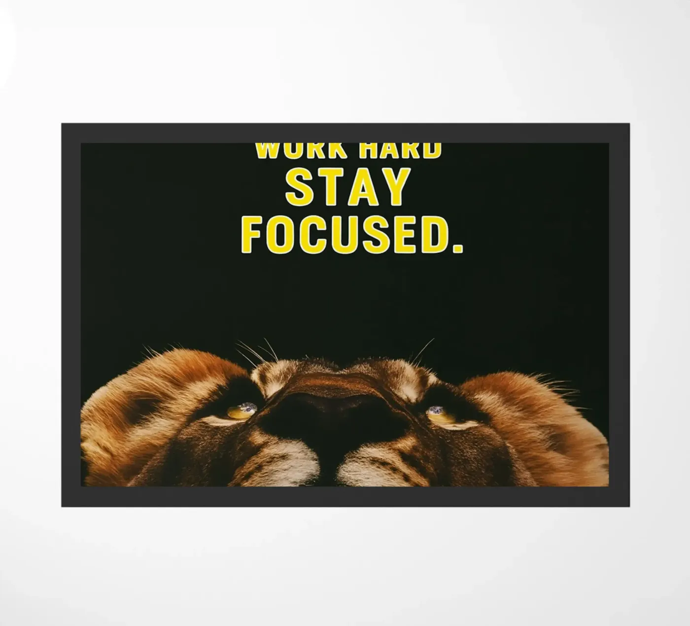 sognare in grande zerbino da rapunsell