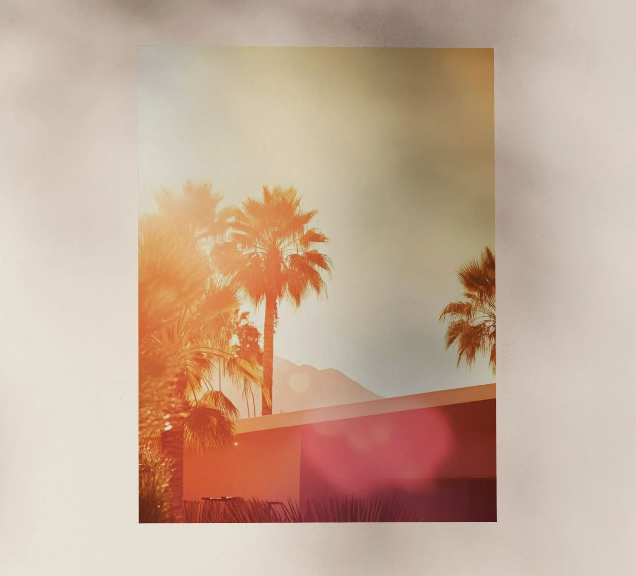 Palm Spring pellicola backlit da Minimalistic