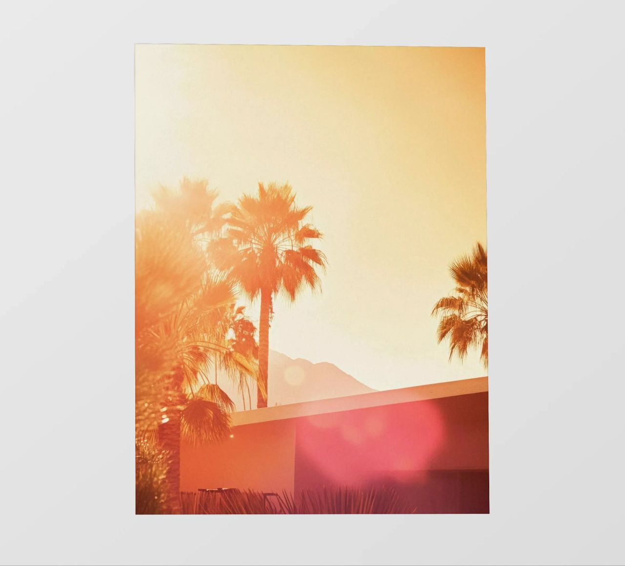 Palm Spring pellicola backlit da Minimalistic