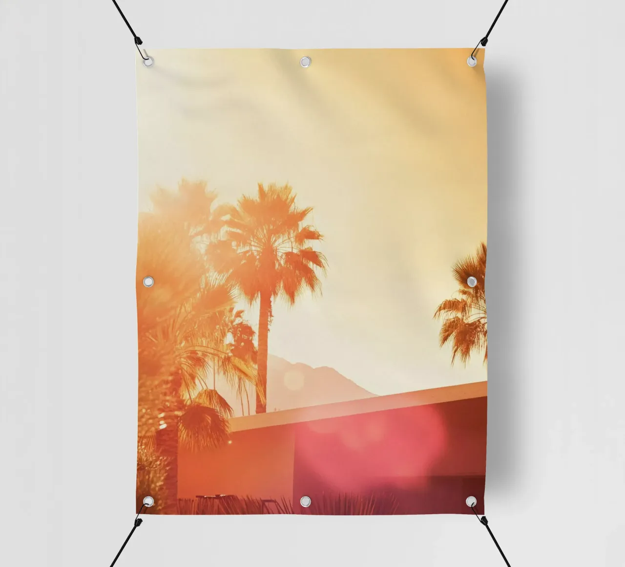 Palm Spring lonas publicitarias de Affiches Minimalistes